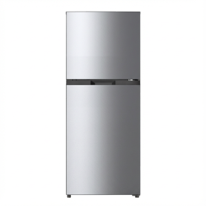 Newfoundland 24" Stainless Steel Refrigerator